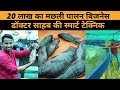 फिश फार्मिंग कम पानी 🐟, कम जगह मैं | Indoor Fish 🎣  Farming Business & Profit💰| Indian Farmer