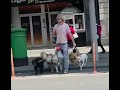 Dublin Life