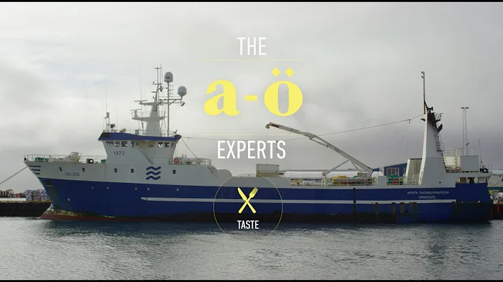 Sustainable Food | The A-Ö of Iceland | TASTE