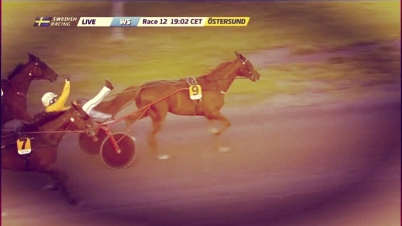 12 06 2021 SVEZIA nel segno di A  Gocciadoro, a Ostersund si rivede Vernissage Grif  (img.BetFlag)