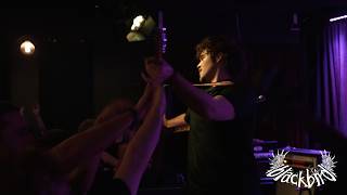 Information blackbird // Full Set// 24.01.26 News