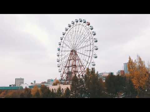 Новосибирск с высоты
