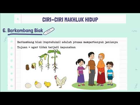 Ciri-ciri Makhluk Hidup (IPA SMP)