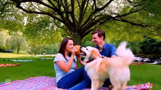 Fluffy’s Fetching Game – Fun Puppy Song for Kids