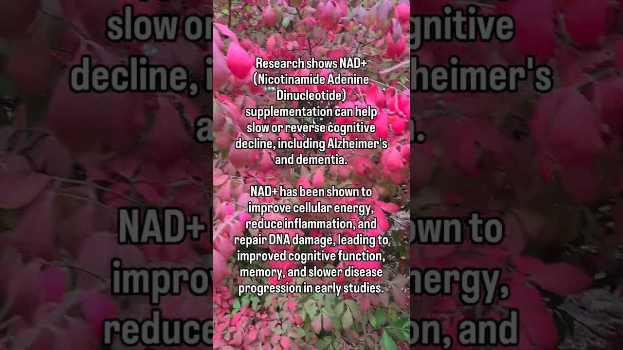 NAD+ can slow or reverse cognitive decline, including Alzheimer's and dementia