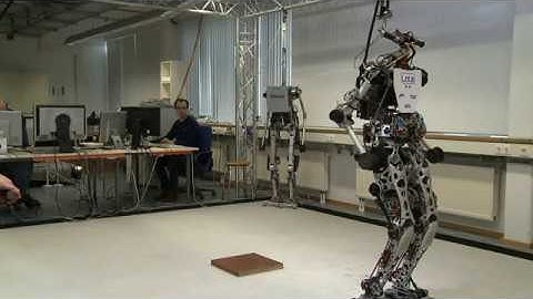 Development of Humanoid Robot LOLA