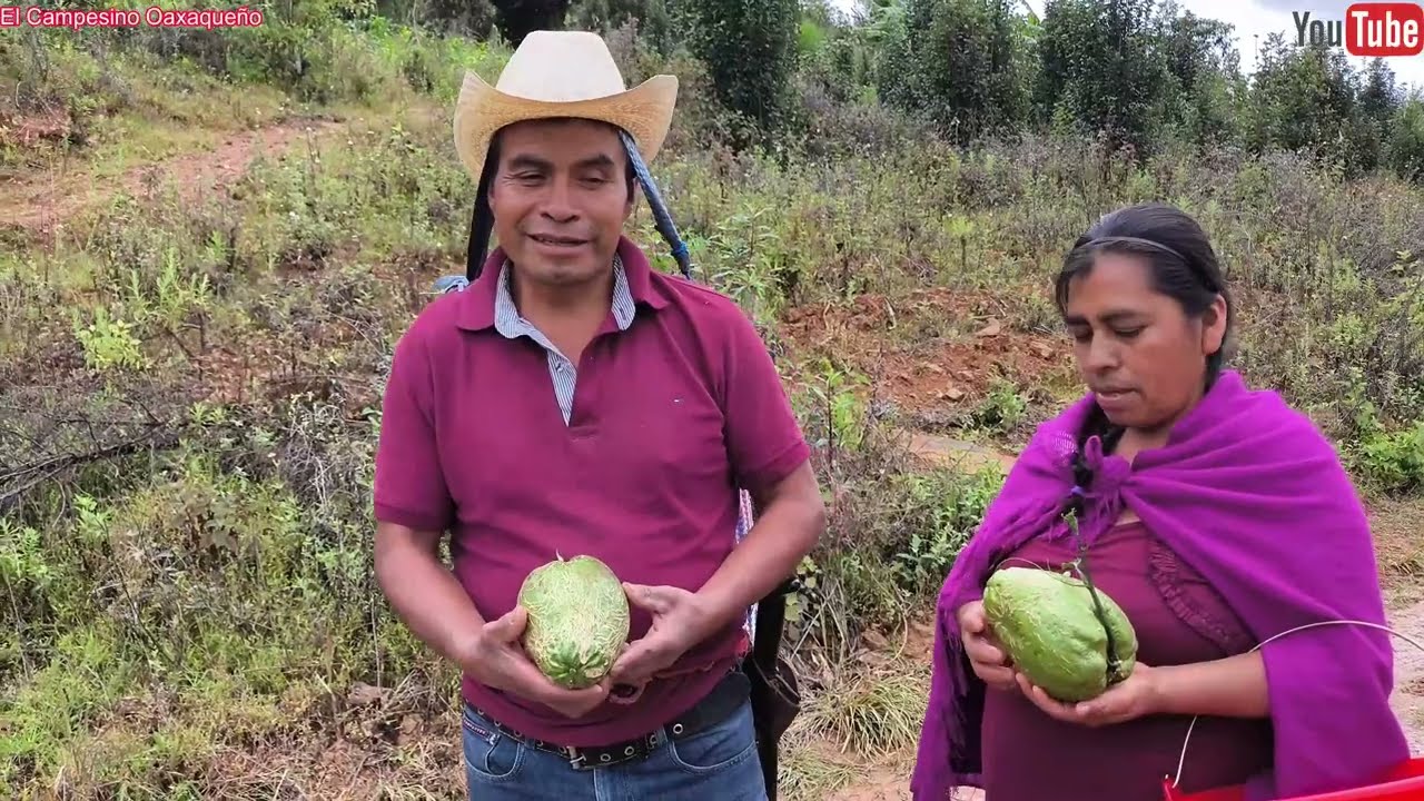 ✅️😃En un día lluvioso fuimos a cortar nuestra verdura en el campo 