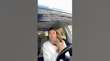 Please don’t scroll #dogs #doglove #dogshorts