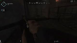 Hunt  Showdown: crossbow double kill