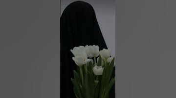 وعسى أن تكرهوا شيئا وهو خير لكم ][راحة نفسية 😴قرآن كريم ♡ #قرآن