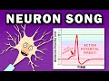 The neuron song