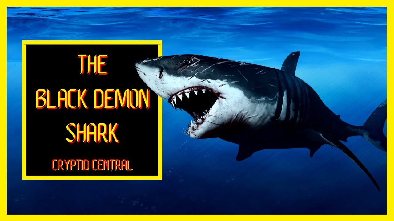 Shark Scientist DEBUNKS The 'Black Demon' Shark! 