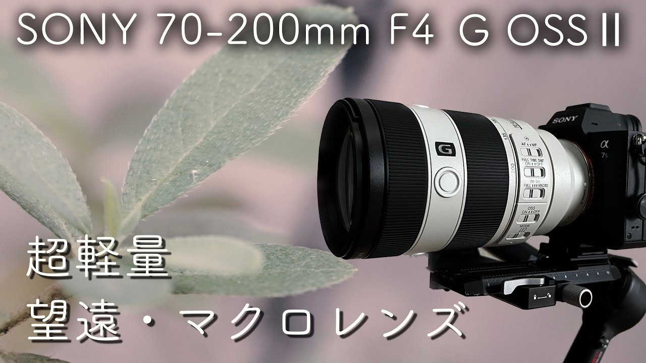 Sony 70-200mm F4 Macro G OSSⅡ】望遠にマクロにジンバルにまさに万能