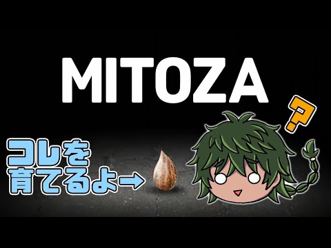 【閲覧注意】Mitozaしたい饅頭【Vtuber】