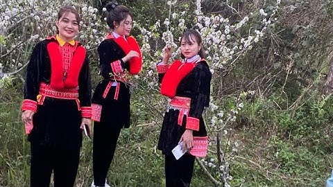 Nét Đẹp Văn Hóa Đặc Sắc Của Người Dao Đỏ Thông Qua Những Bài Hát Giao Duyên