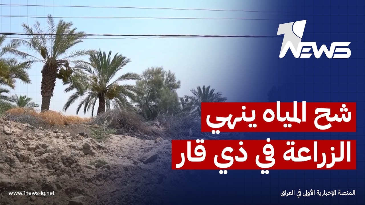 شح المياه ينهي الزراعة وتربية الحيوانات.. الجفاف يهدد حياة سبعة آلاف نسمة بمنطقة آل عمار في ذي قار