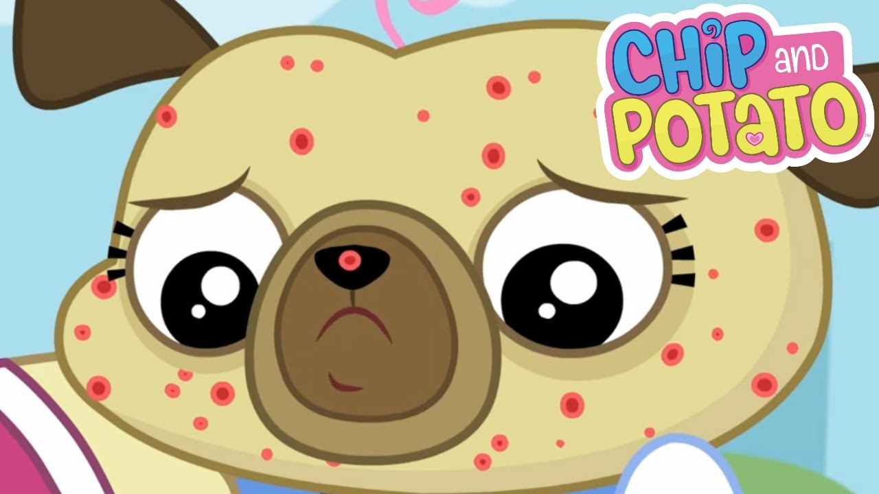 Chip and Potato Puggy Butterfly // Itchy Chip Cartoons For Kids Watch More on Netflix