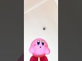 Kirby - Maxim Tomato