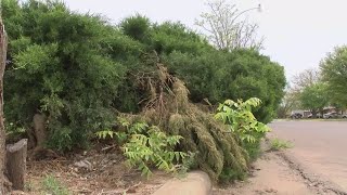 Codes cracking down on weeds