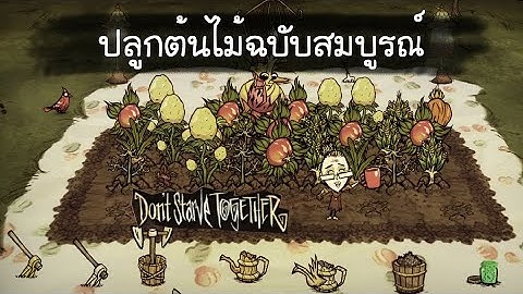 [เผ็ดgame] Don