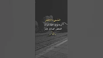 الشيء الاكثر إذزعاجا في الحياة هو أن الشخص الصادق يخسر دائما 