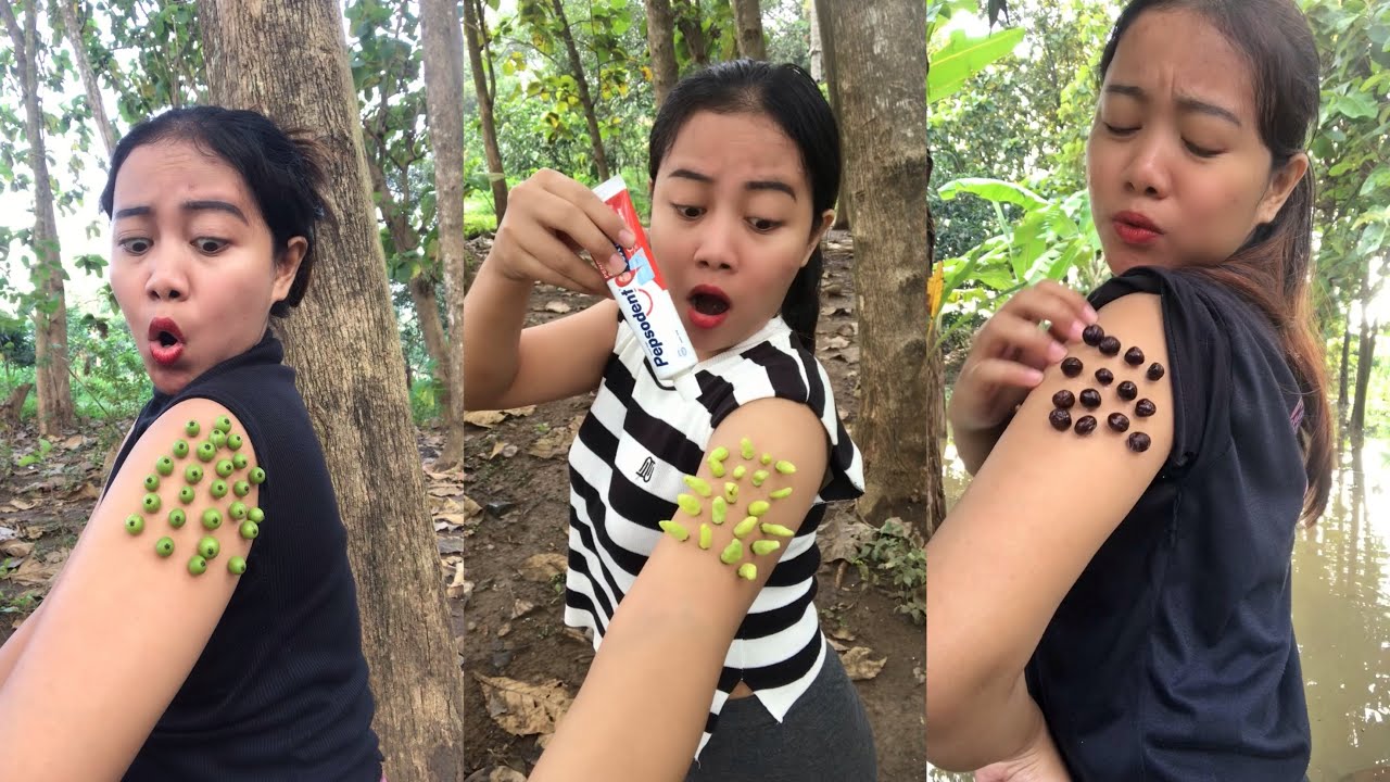 Best Compilation: SMART idea and USEFUL in forest #bushcraft #video #survival #useful