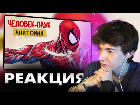 КЛАЙД СМОТРИТ: АНАТОМИЯ ЧЕЛОВЕКА-ПАУКА: Все подробности способностей