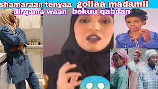 shamaraan Tenyaa Gollaa Madamiitii Gubachaa Jirtaan Dirqamaa Waan Bekuu Qabdaan Adaraa