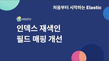 [처음부터 시작하는 elastic] 3-4-1 인덱스 재색인 : 필드 매핑 개선