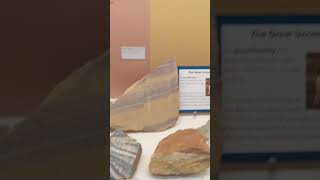 haha gneiss