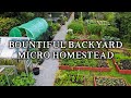 Amazing Permaculture Raised Bed Vegetable Garden | Combining No Dig Gardening with Poultry