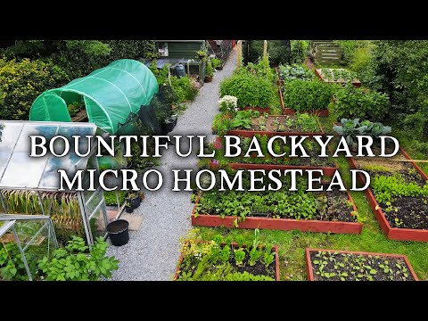 Amazing Permaculture Raised Bed Vegetable Garden | Combining No Dig Gardening with Poultry