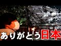 【感動】生まれて初めて桜を見た日本人の反応