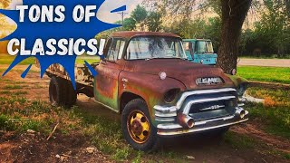 Check Out all these ANTIQUE Cars &amp; Trucks! What Should I do with Them?