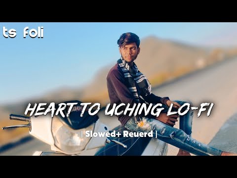 Heart To Uching Rajasthan Lo-fi ( Slowed Reuerd TS Music Lover 🎶 ) Viral  2024 💫