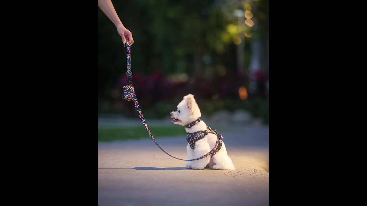Testing the tensile strength of our leashes