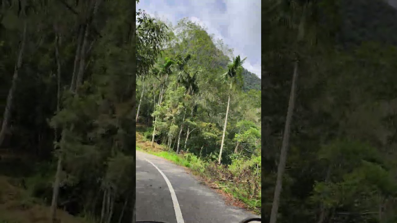 #kehidupan #ifnalia Jalan menuju lintau