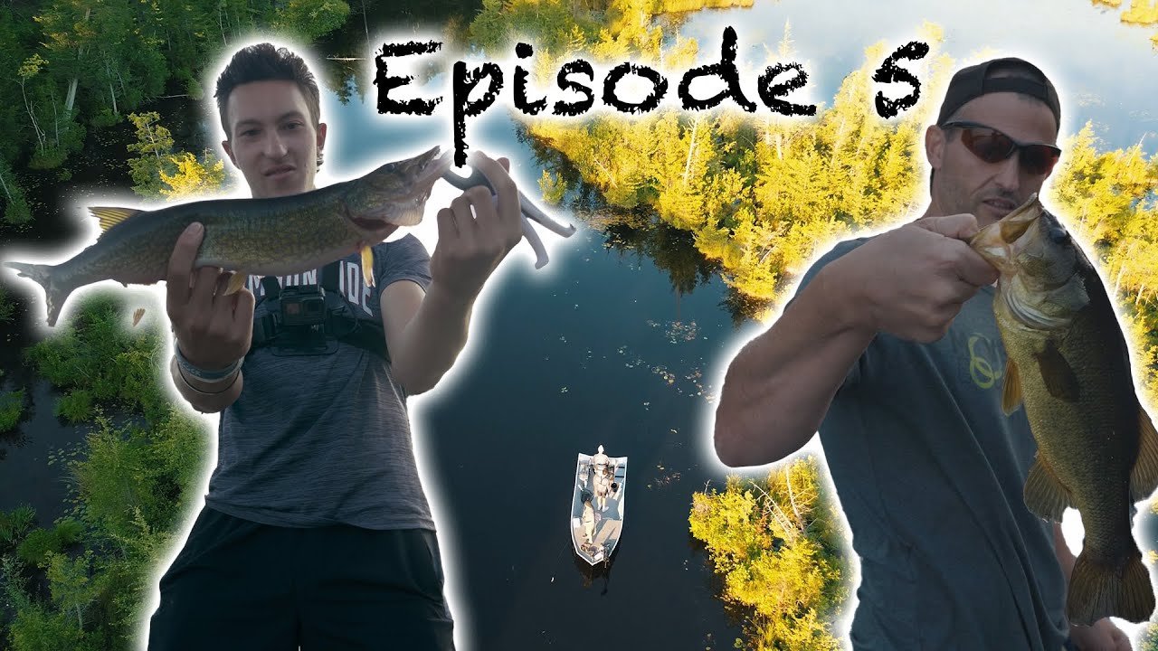 Fishing the Evening for BIG Bass and Pickerel (Cabin Ep. 5)