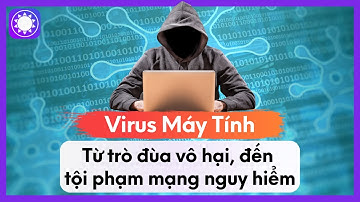 Virus Máy Tính - Từ Trò Đùa Vô Hại, Đến “Tội Phạm Mạng” Nguy Hiểm