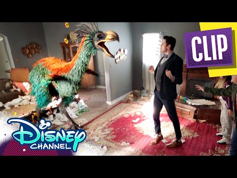 bird-quake!-|-gabby-duran-&-the-unsittables-|-disney-channel