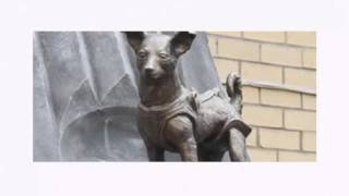 Famous All about Space Disandhi and Casey Profile