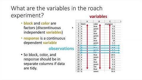 014b What is Tidy Data?