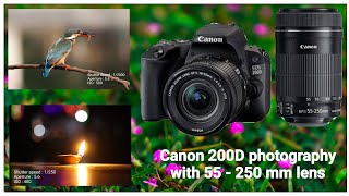 Canon 200 D photography with 55-250 mm lens