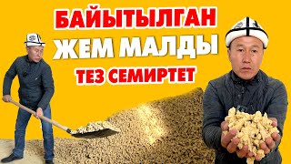 МАЛ жандыкка БАЙЫТЫЛГАН ЖЕМ бериңиз ~ ЭТТYY анан СYТYY болот