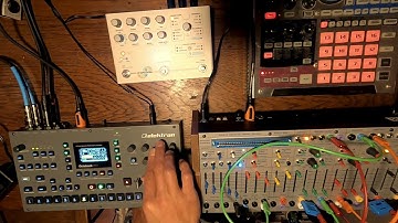 Buchla Easel Command + Elektron Octatrack | Explorations #2