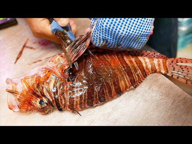 Japanese Street Food - LIONFISH Most VENOMOUS Fish in the World!