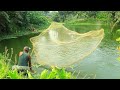 Net Fishing ll Lot Of Big Fish Catching Using by Cast Net in The Beautiful Village Pond