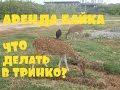 Что посмотреть в Тринкомале, Старый храм, Форт Фредерик.