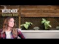 The Weekender: "Concrete Jungle Patio" (Episode 1)