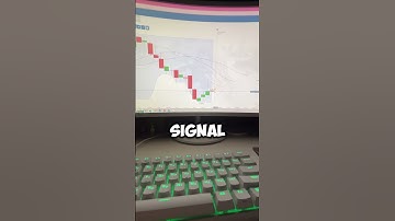 AI robot for Pocket Option earned $2000